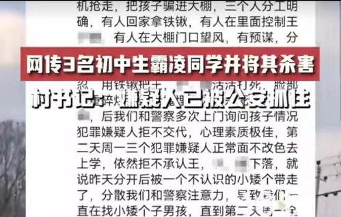 邯郸事件大爆料最新消息,揭秘背后惊人真相 第3张 邯郸事件大爆料最新消息,揭秘背后惊人真相 第3张